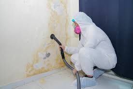 Marin City, CA Mold Removal & Remediation Company